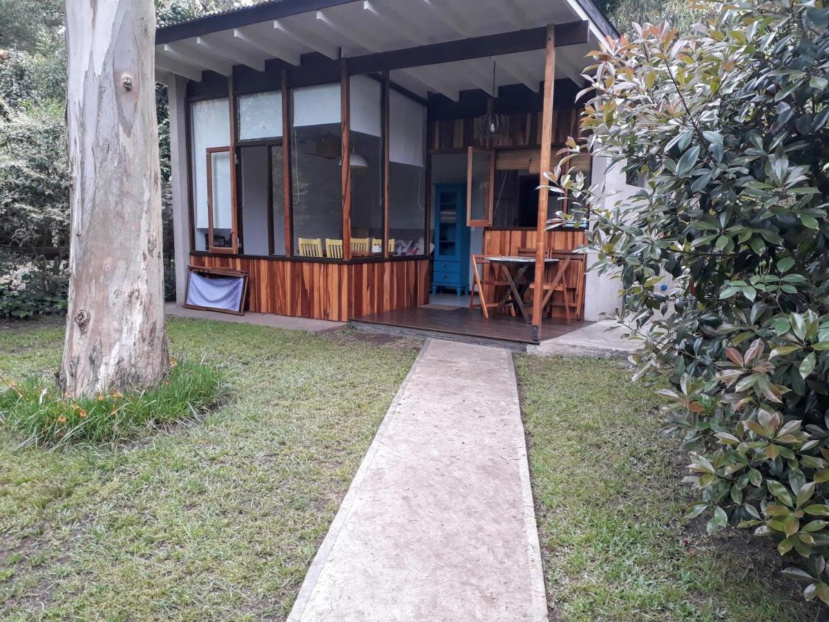 Las Cortaderas Bosque Peralta Ramos Mar del Plata Extérieur photo