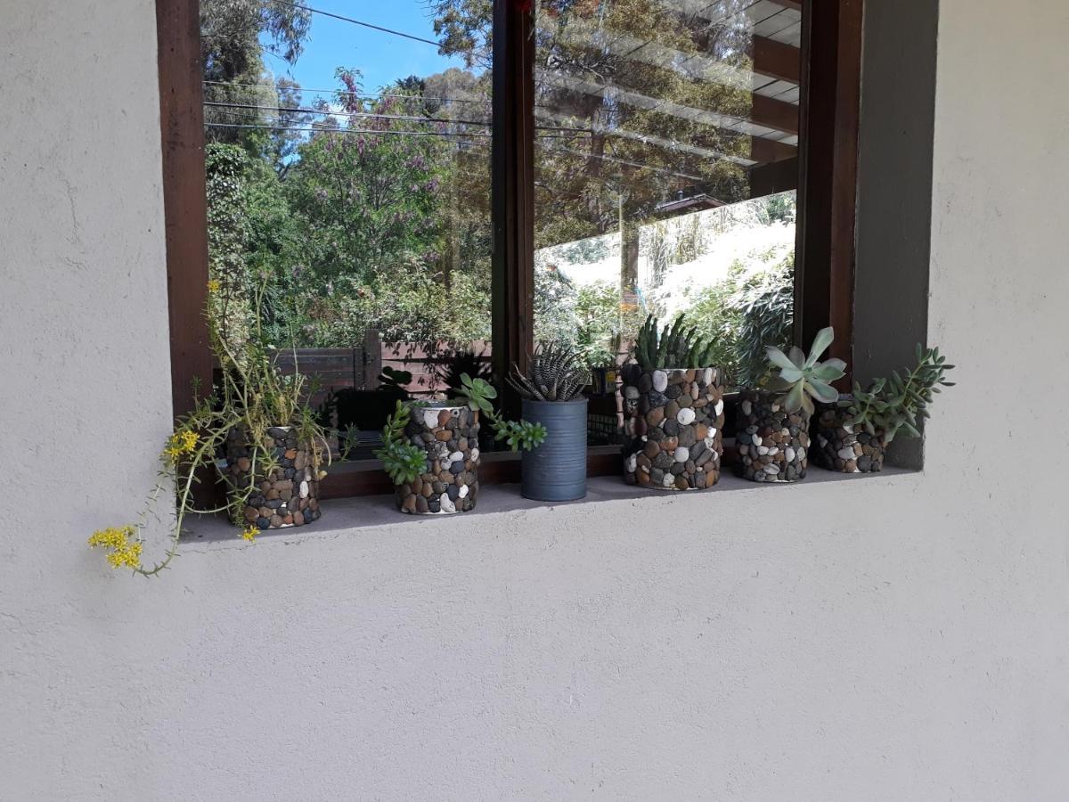Las Cortaderas Bosque Peralta Ramos Mar del Plata Extérieur photo