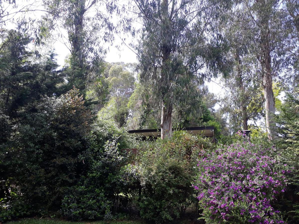 Las Cortaderas Bosque Peralta Ramos Mar del Plata Extérieur photo