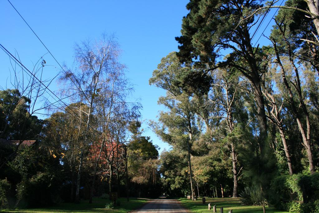 Las Cortaderas Bosque Peralta Ramos Mar del Plata Extérieur photo